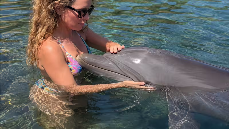 Reiki para Animales